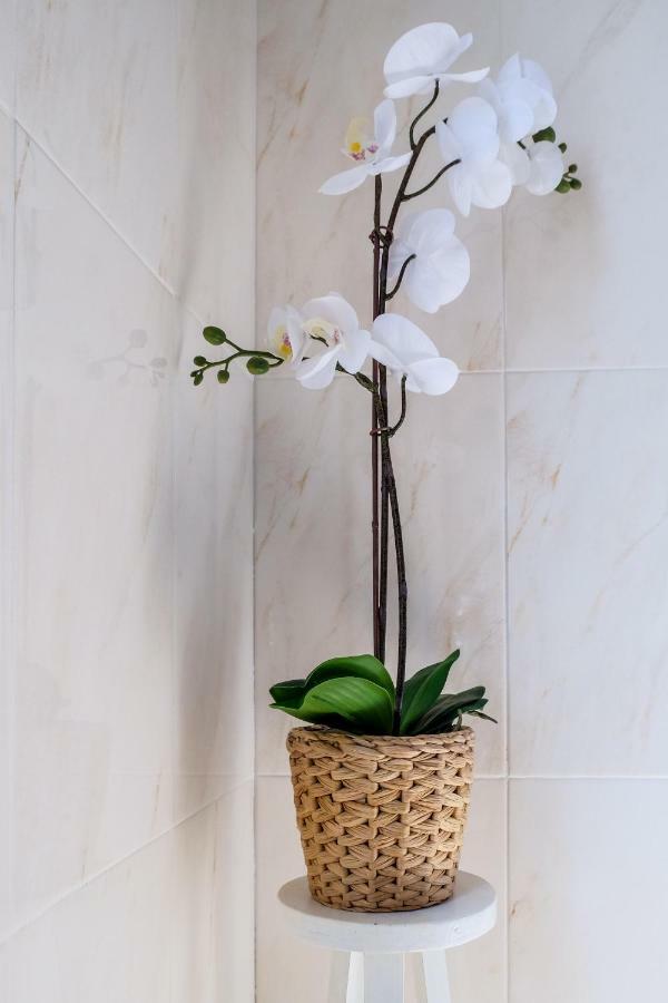 Casa Do Ferreiro II Hotel กอยส์ ภายนอก รูปภาพ